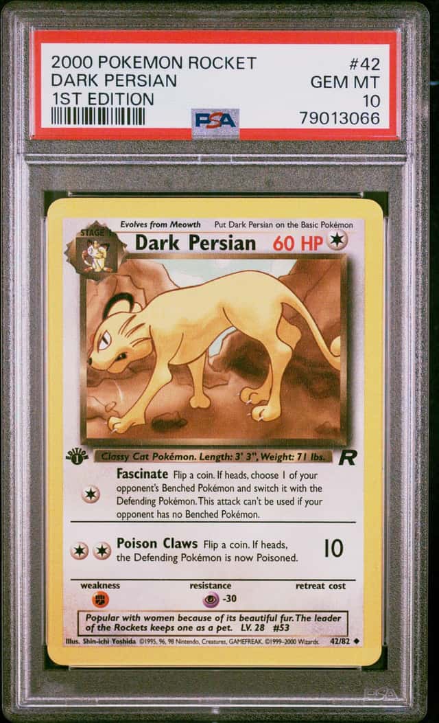 Dark Persian