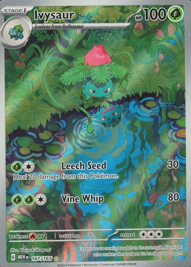 Base / no variant
