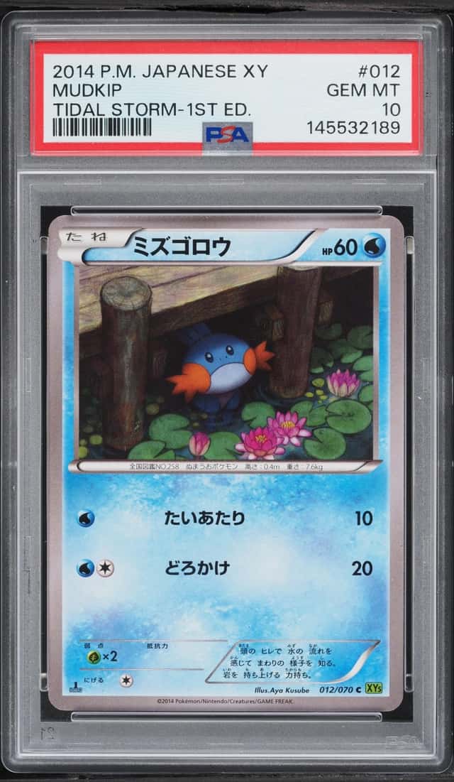 Mudkip