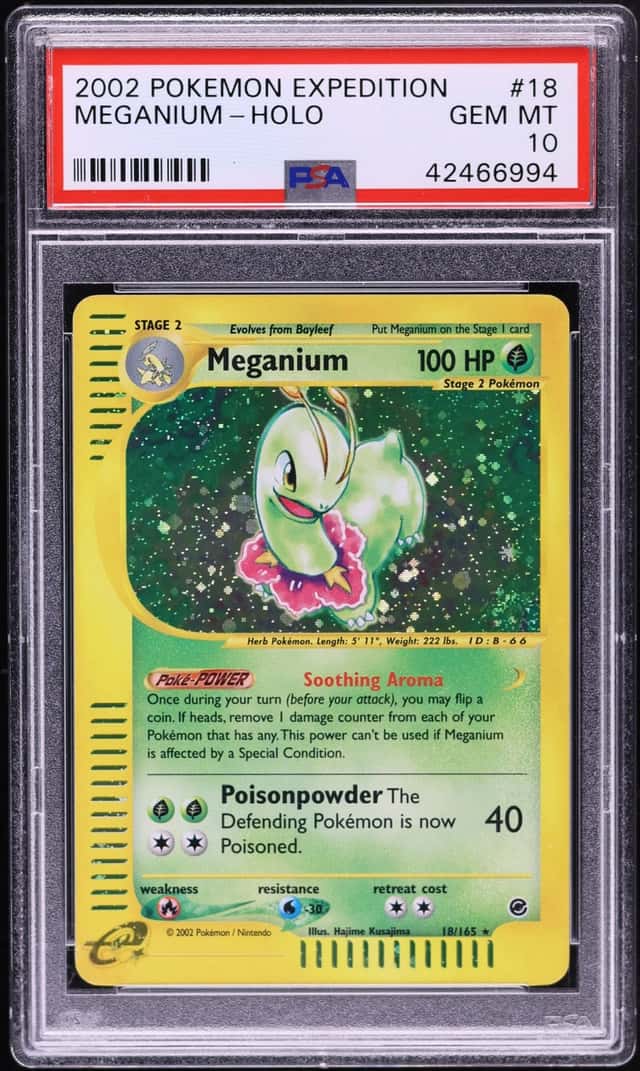 Meganium