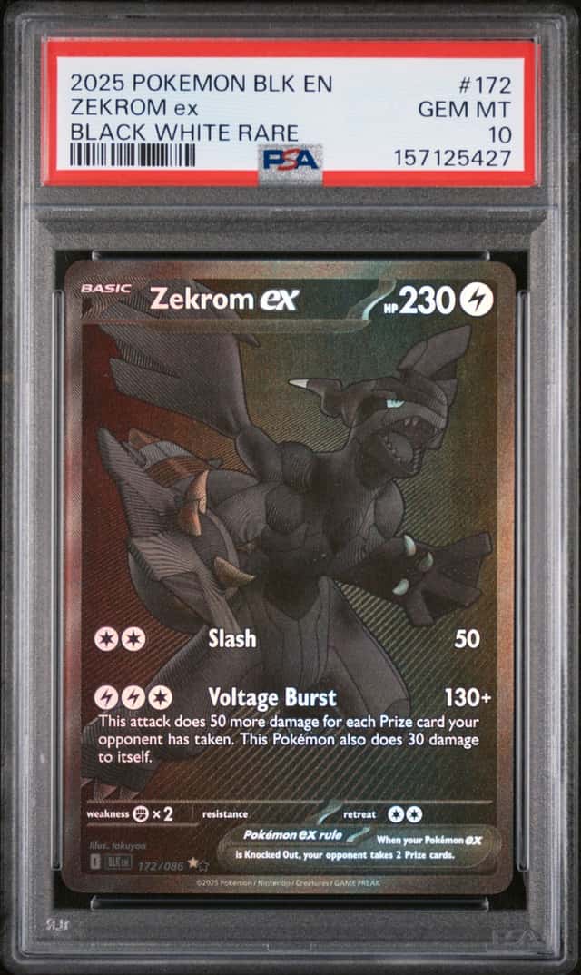 ZEKROM ex