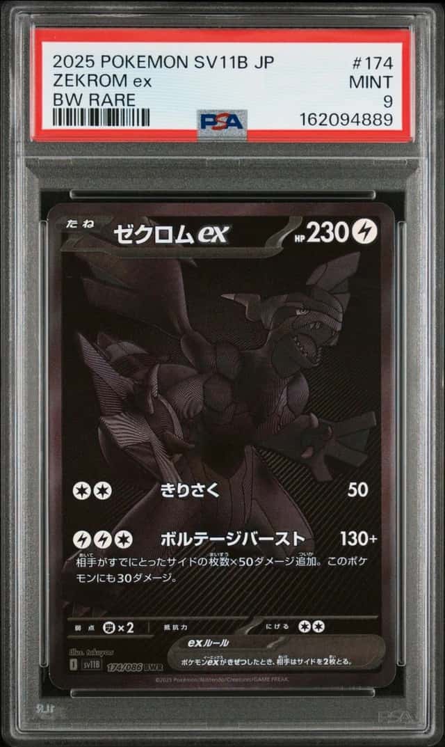 ZEKROM ex