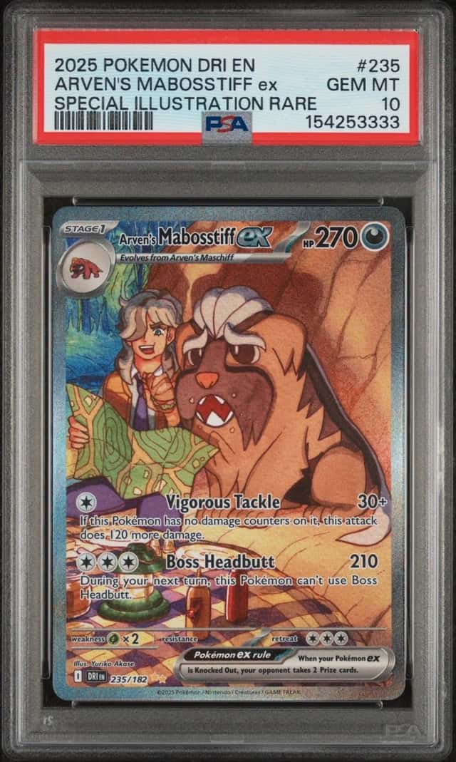 ARVEN'S MABOSSTIFF ex