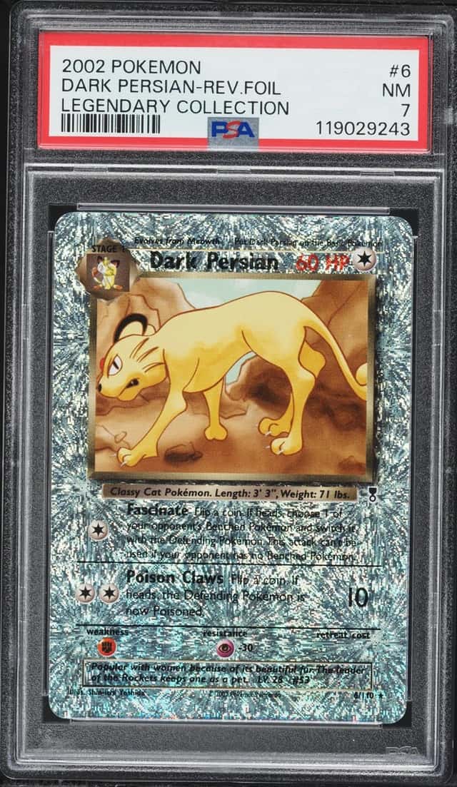 Dark Persian