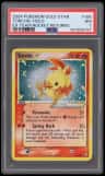 Torchic