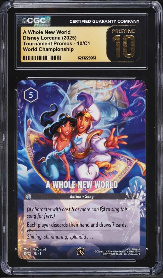 A Whole New World