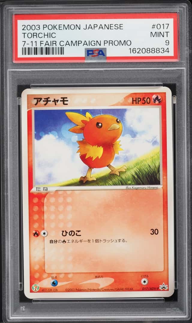 Torchic