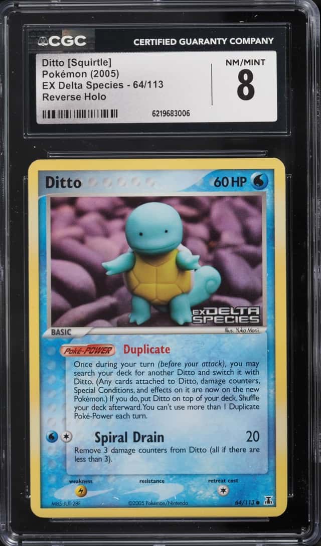 Ditto [Squirtle]