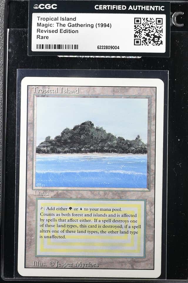 Tropical Island