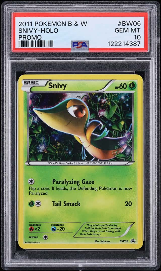 Snivy