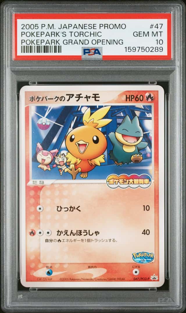 Pokepark's Torchic