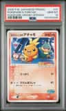 Pokepark'S Torchic