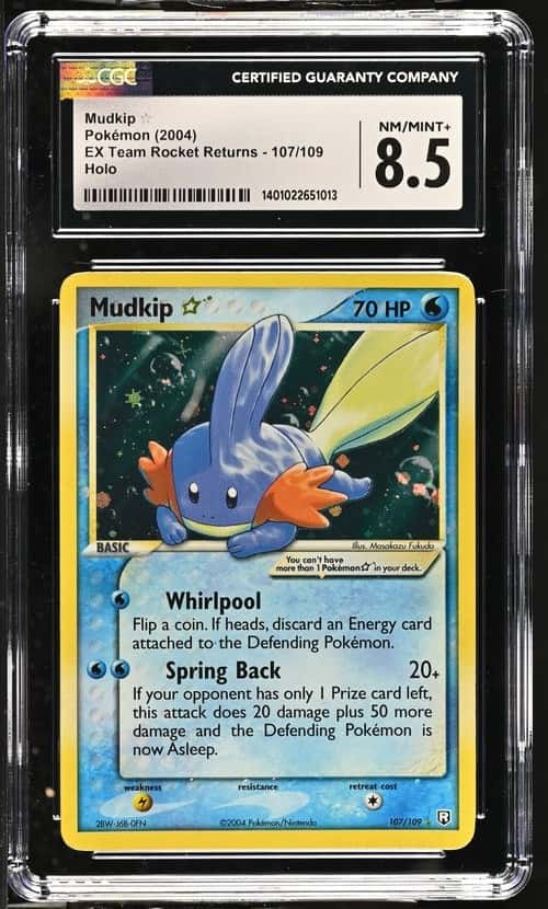 Mudkip
