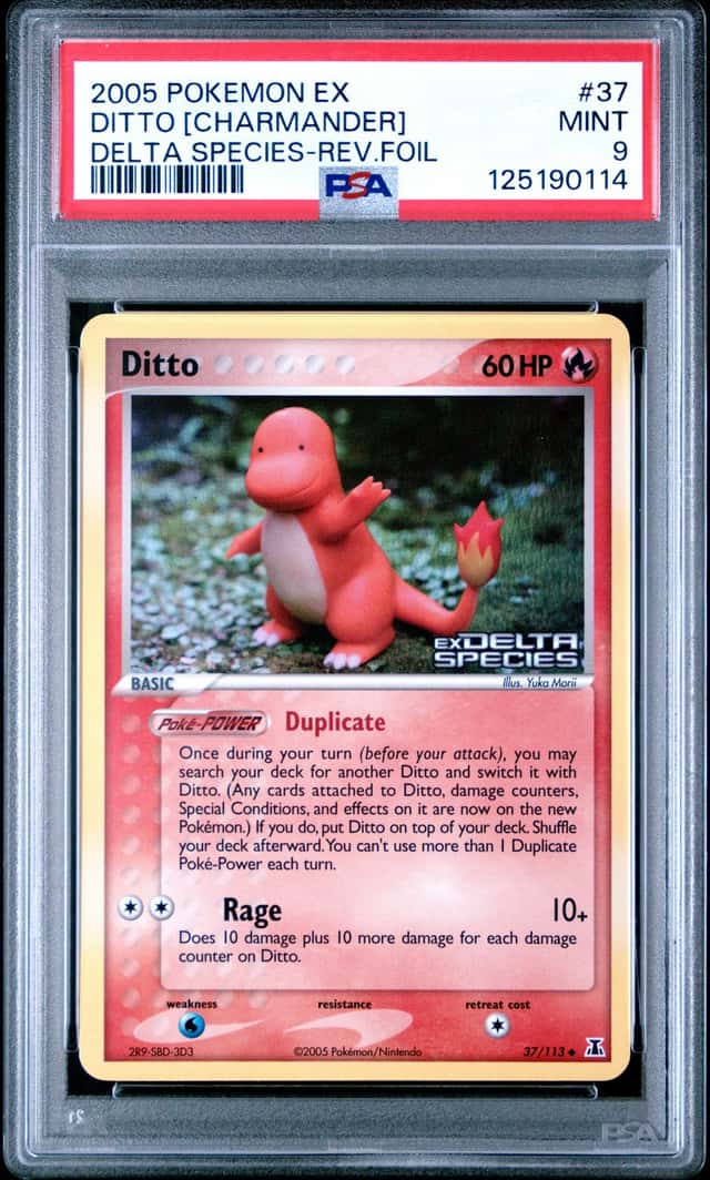Ditto [Charmander]