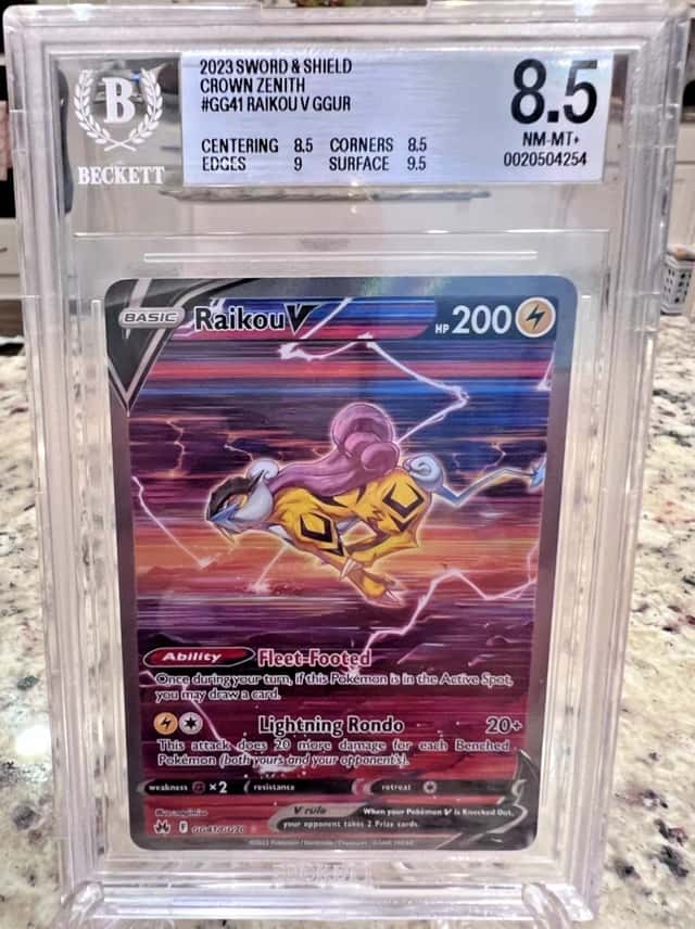 Raikou V