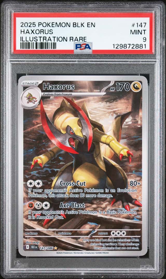 Haxorus