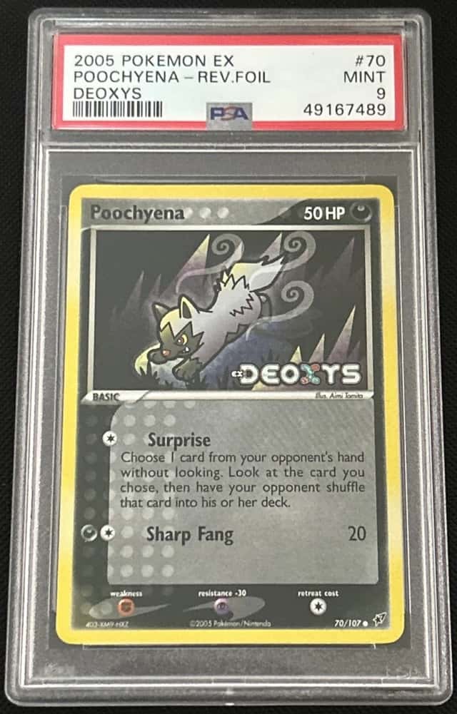 Poochyena