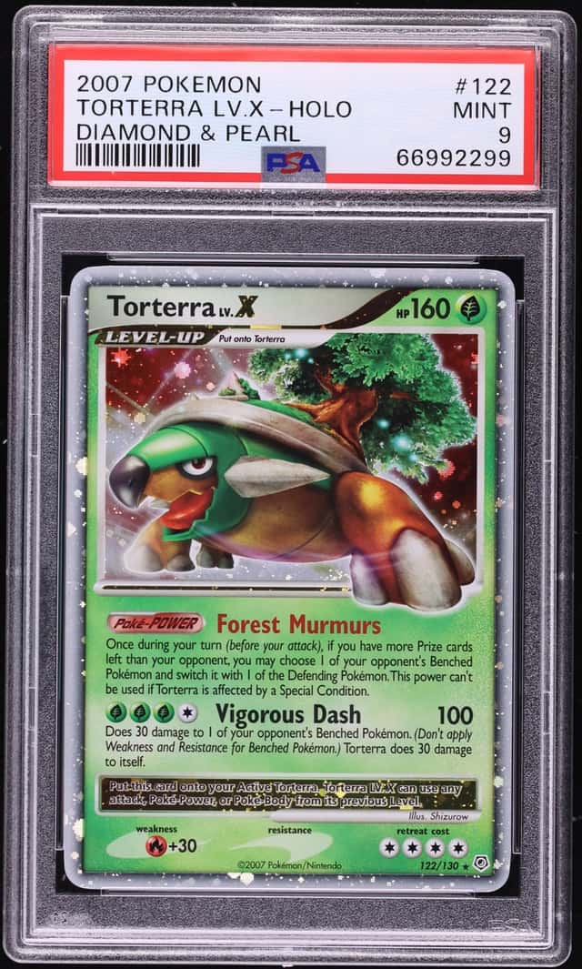 TORTERRA LV.X