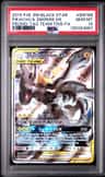 Pikachu & Zekrom Gx