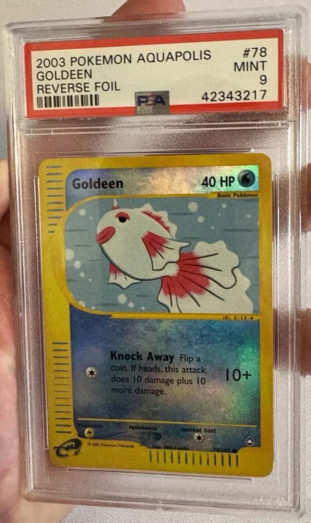 Goldeen