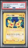 Pichu Bros