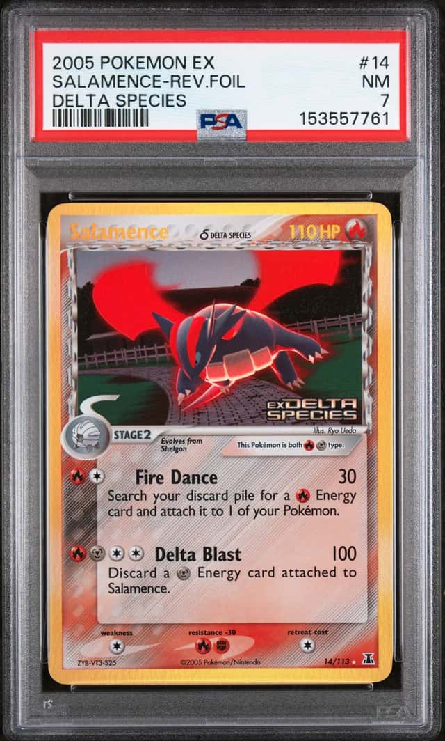 Salamence