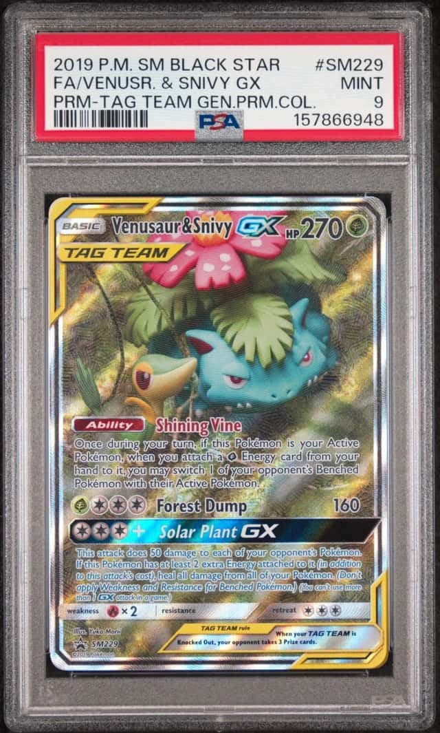 Venusaur & Snivy GX