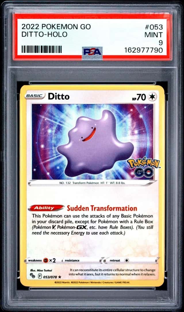 Ditto
