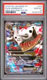 M Aggron Ex
