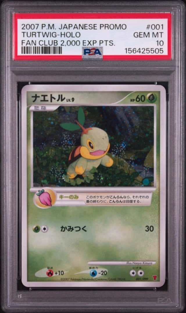 Turtwig