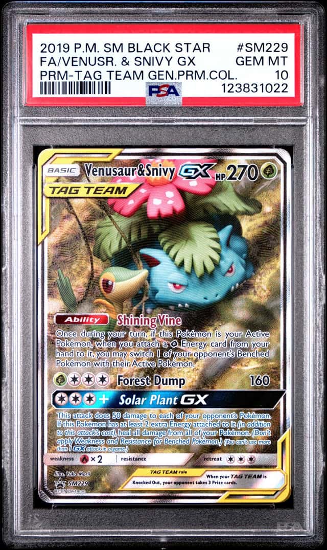 Venusaur & Snivy GX
