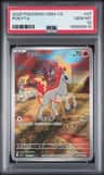 Ponyta