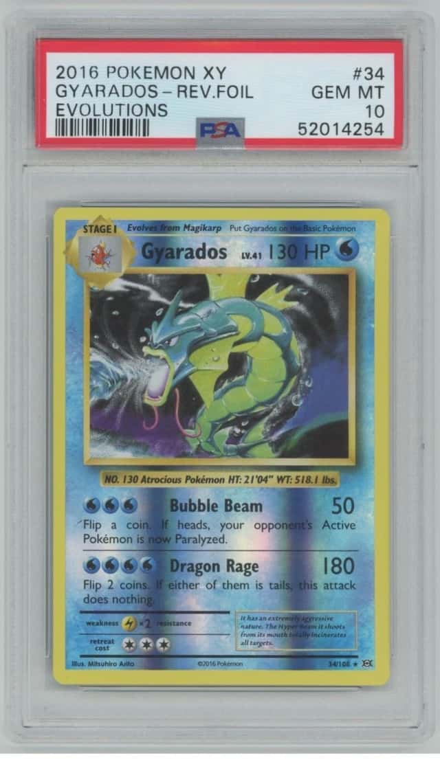 Gyarados