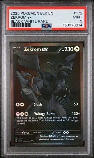 ZEKROM ex