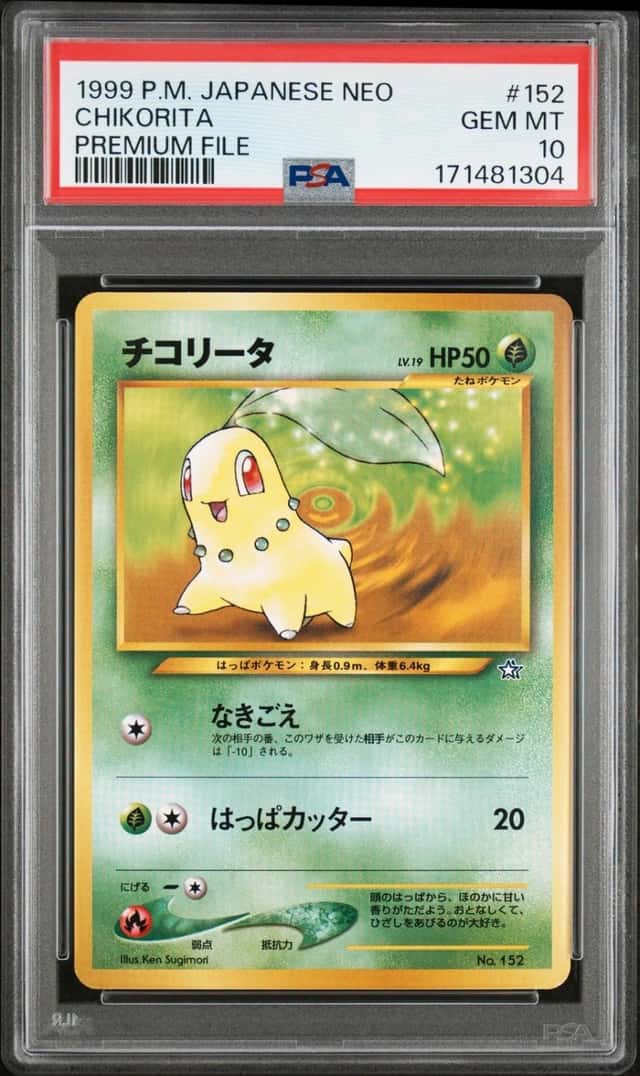 Chikorita