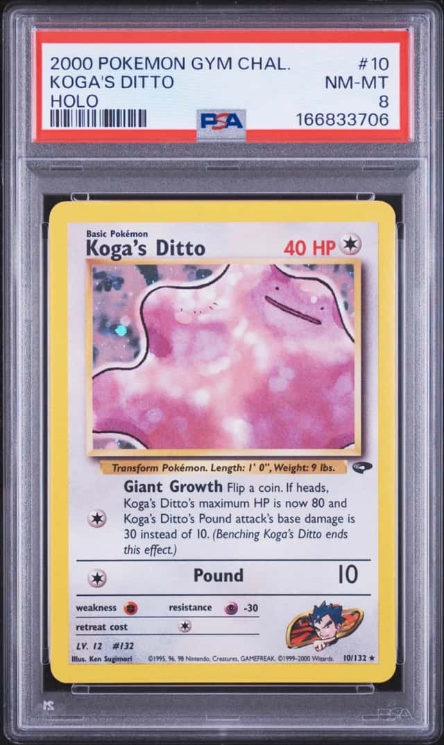 Koga's Ditto