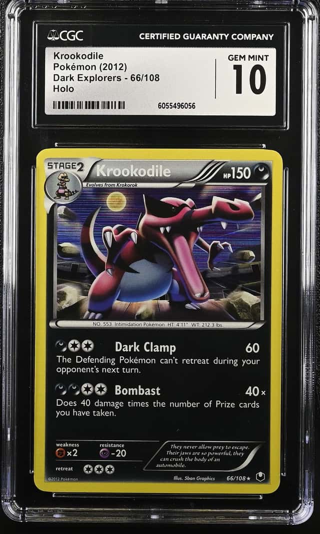 Krookodile