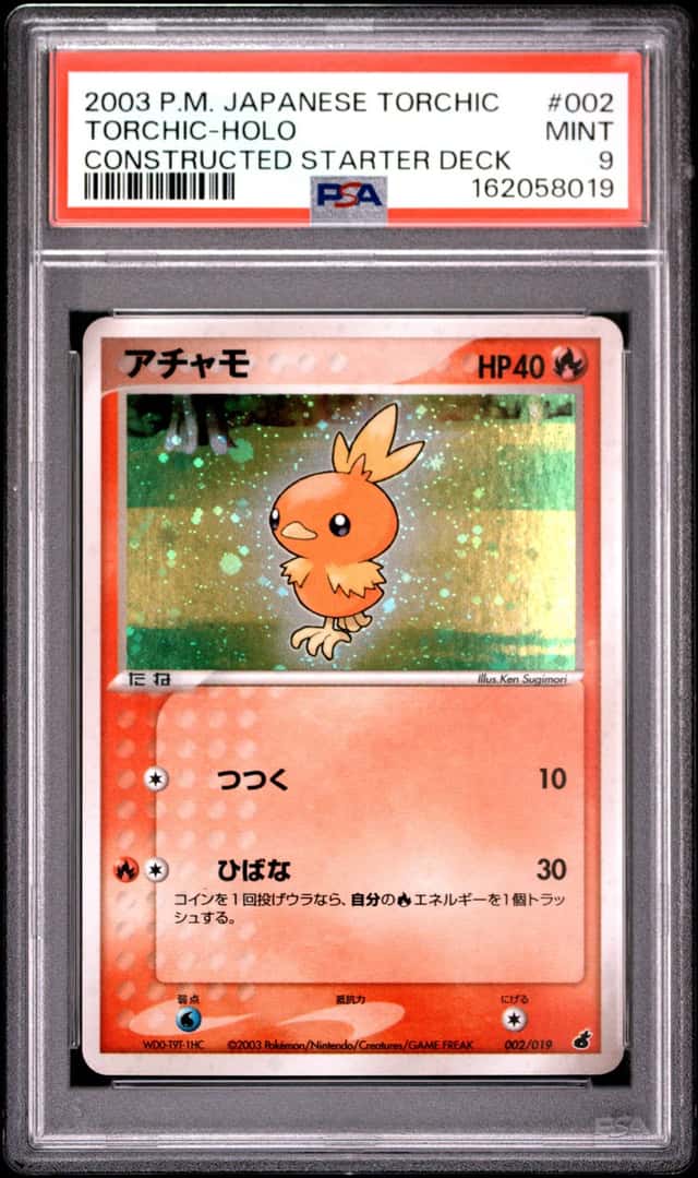Torchic