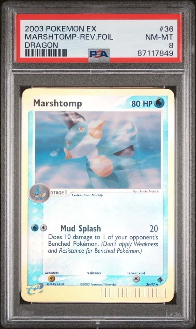 Marshtomp