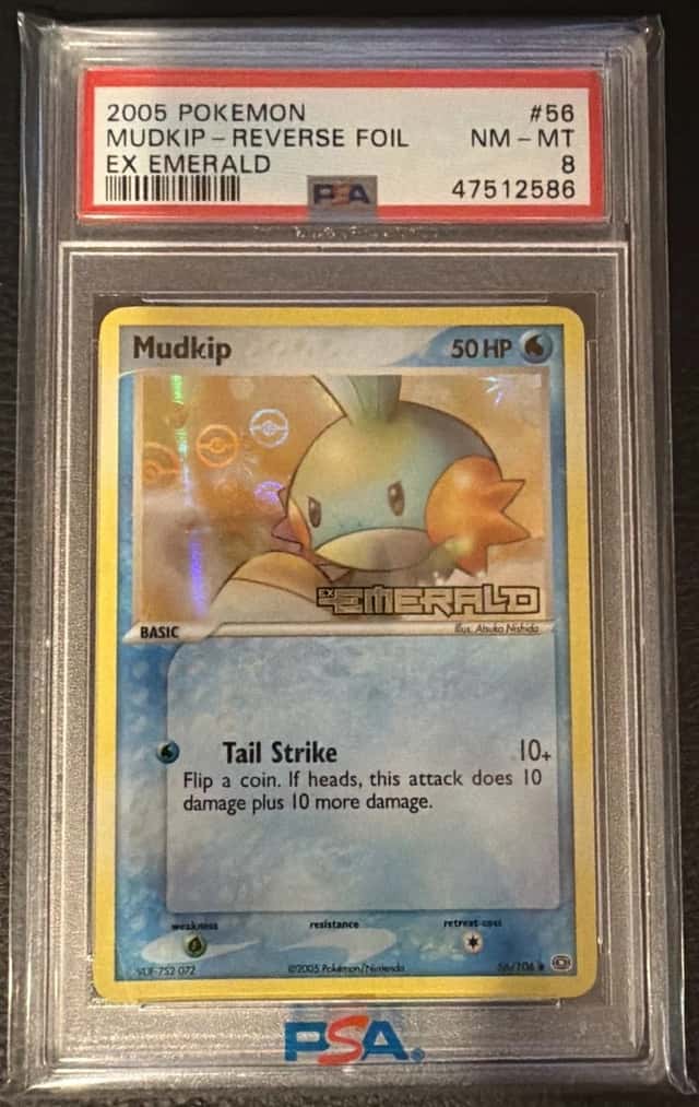 Mudkip