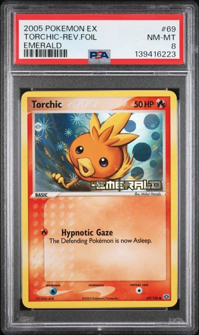 Torchic