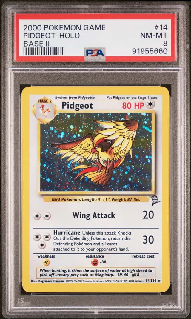Pidgeot