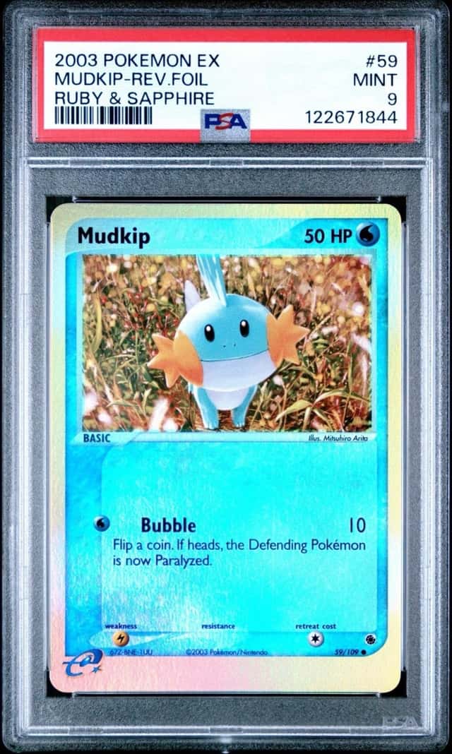 Mudkip