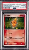 Torchic