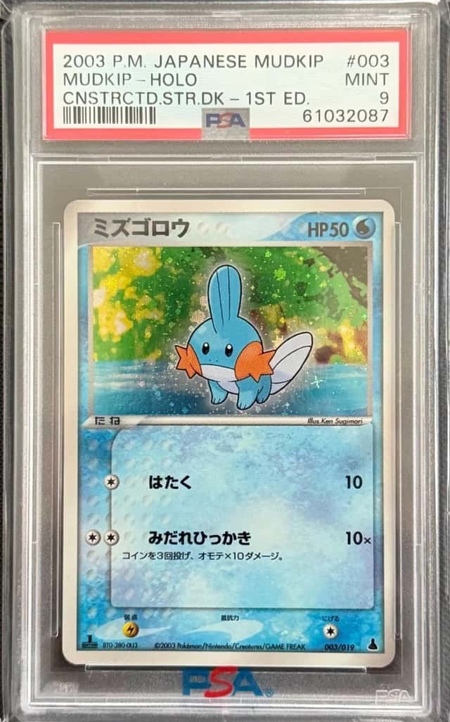 Mudkip