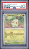 Chikorita