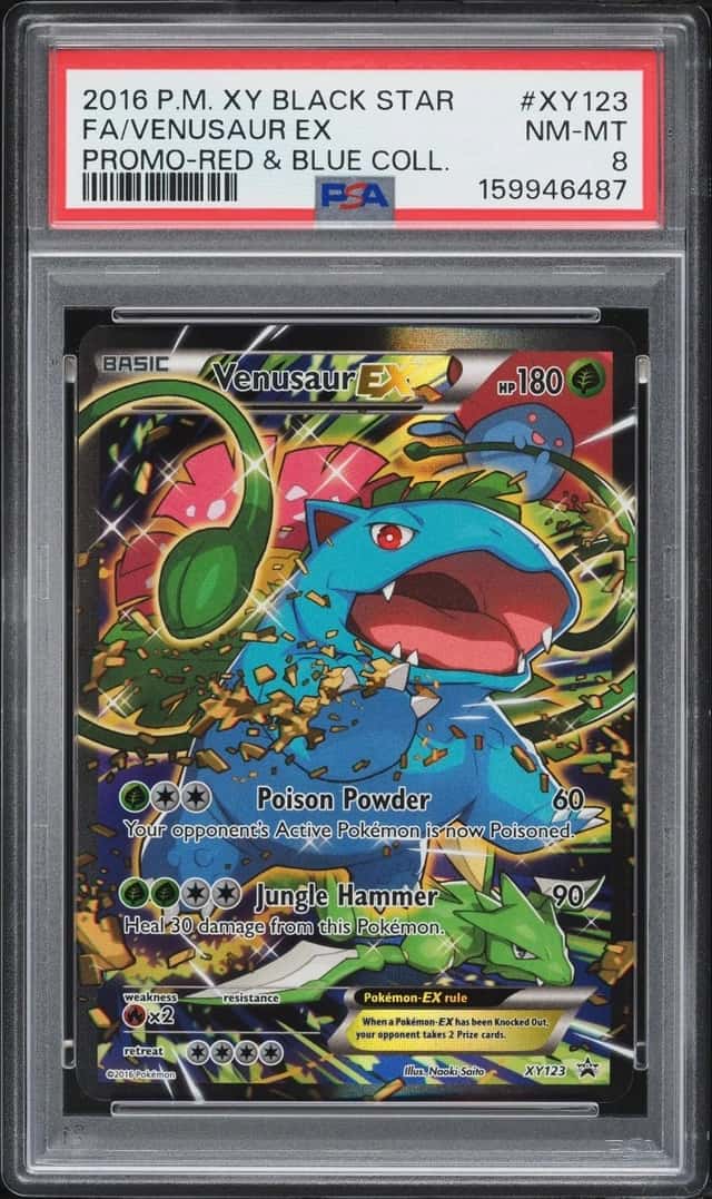 Venusaur EX
