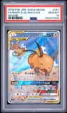 Raichu & Alolan Raichu Gx