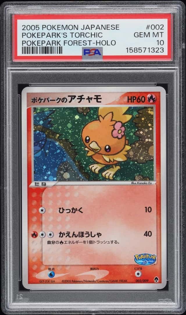 Pokepark's Torchic