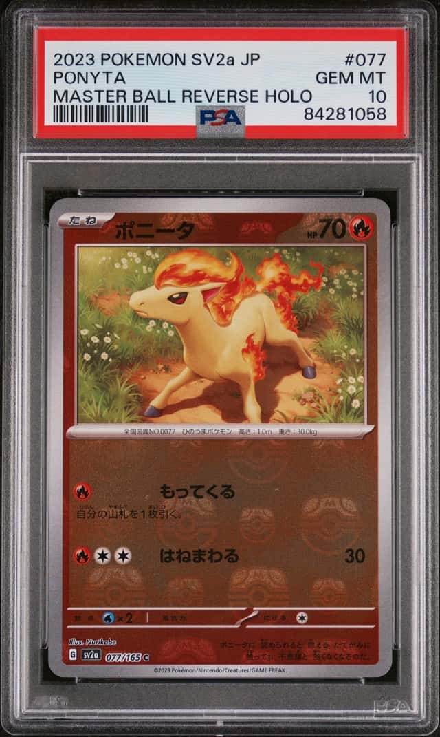 Ponyta